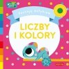 Liczby i kolory Poznaję dotykiem Sensoryczna książeczka Akademia mądrego dziecka